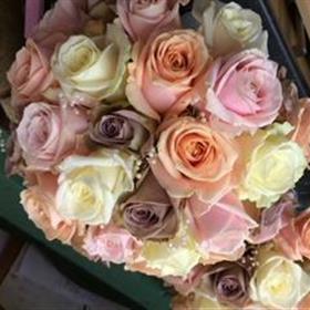 fwthumb000001 (24).jpg